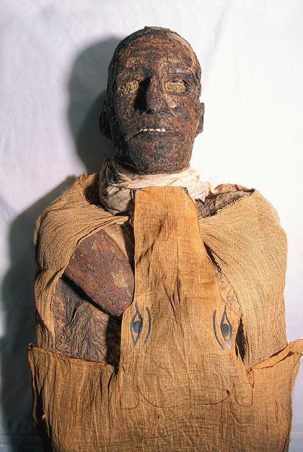 Egypt Tours Mummy of Ramesses III Egypt Museum